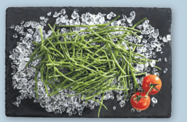 Morski šparglji 1 kg - Akcija v trgovini Spar