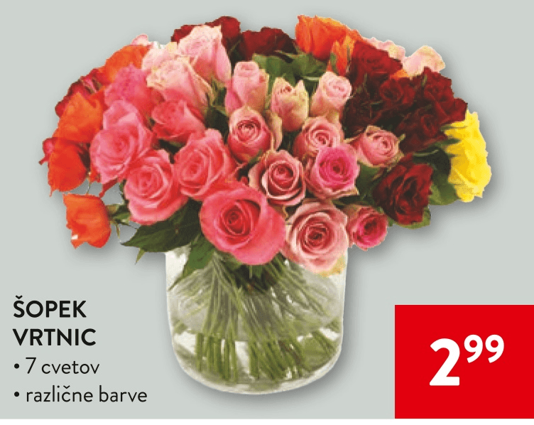 Šopek Vrtnic - Akcija v trgovini Spar