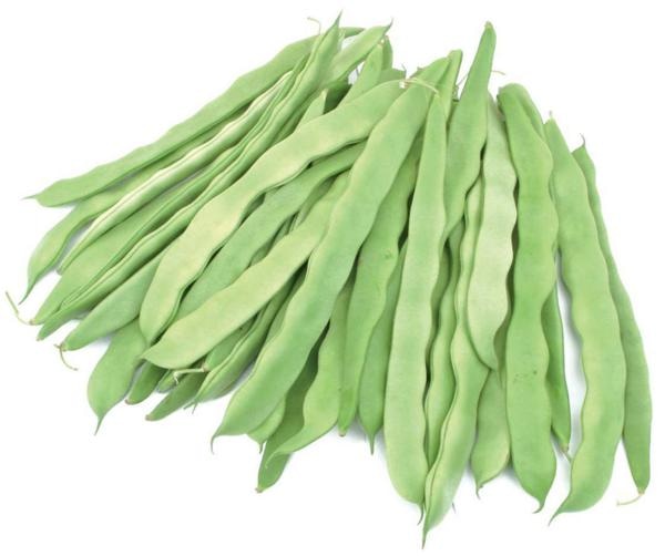 Stročji fižol/Fižol 500 g - Akcija v trgovini Hofer