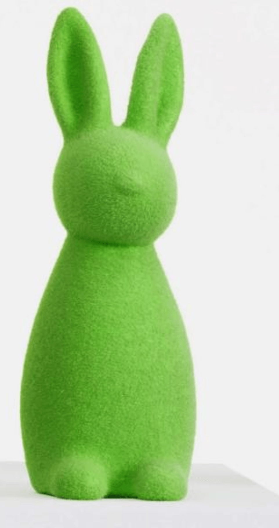 Okrasni zajec - Akcija v trgovini Kik