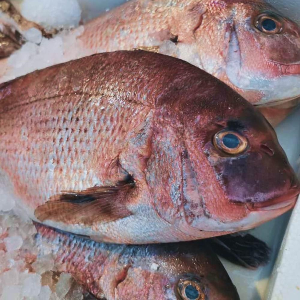 Pagar RIBARNICA - Akcija v trgovini Mercator