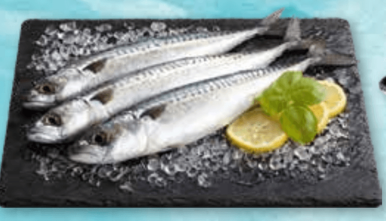 Skuša 1 kg - Akcija v trgovini Spar