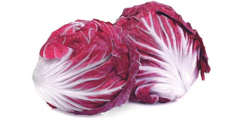 Slovenski Radič HOFER TRŽNICA - Akcija v trgovini Hofer