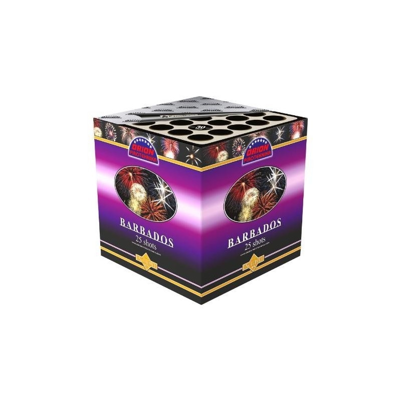 Barbados baterija - Akcija v trgovini Jager