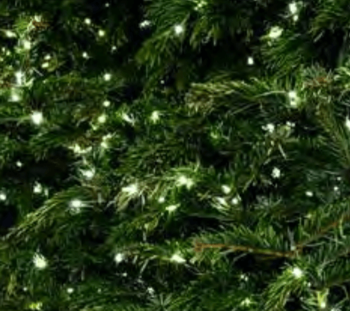 LED lučke 40 lučk - Akcija v trgovini Mercator