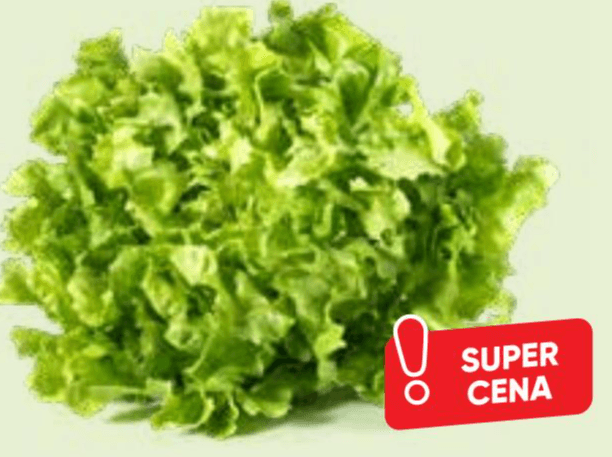 Endivija solata eskariol 1 kg Akcija v trgovini Tuš