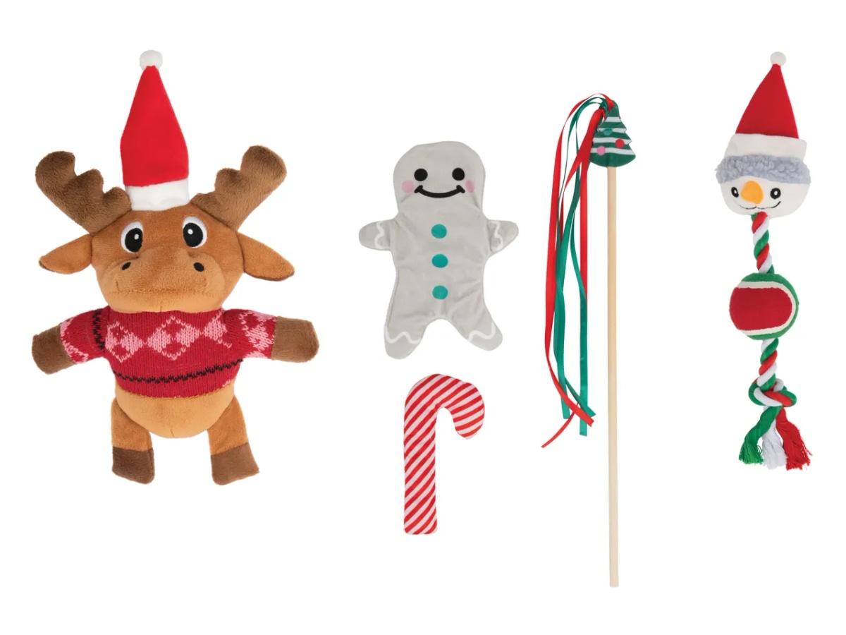 Zoofari Igrača za pse/mačke 3-delni komplet - Akcija v trgovini Lidl