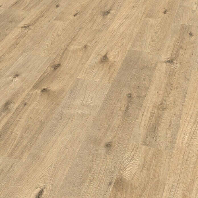 Laminat Bremberg 7 mm, 2,494 m² Akcija v trgovini Bauhaus