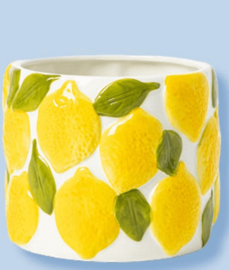 Cvetlični lonec iz dolomita - Akcija v trgovini Pepco