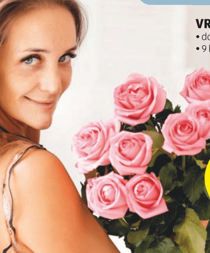 Vrtnice Premium 9 kosov - Akcija v trgovini Hofer