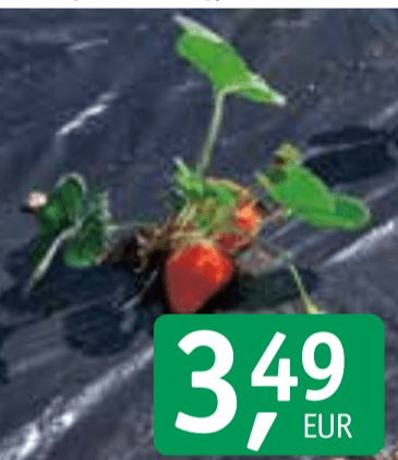 Folija za sajenje z luknjami 1 x 10 m - Akcija v trgovini Jager