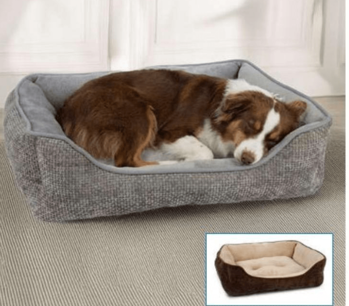 Ležišče za živali Radames - Akcija v trgovini Eurospin