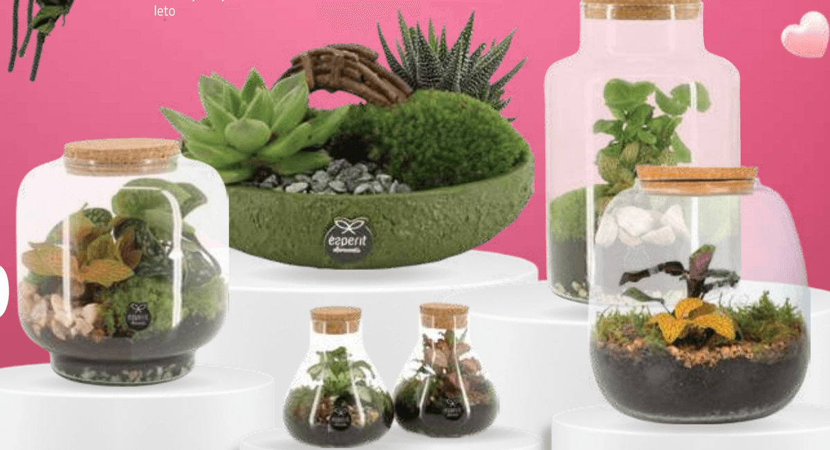 Eaperit Terarij - Akcija v trgovini E.Leclerc