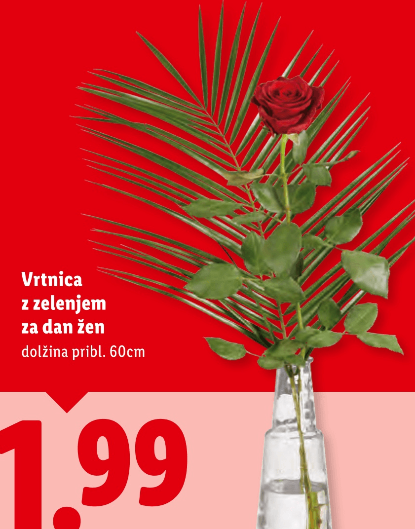 Vrtnica z zelenjem - Akcija v trgovini Lidl