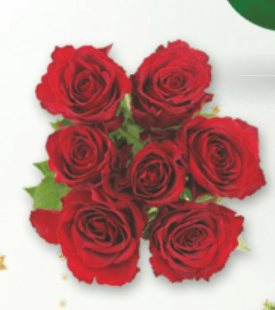 Šopek vrtnic 7/1 - Akcija v trgovini Spar