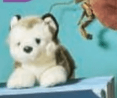 Haski - Akcija v trgovini Mueller