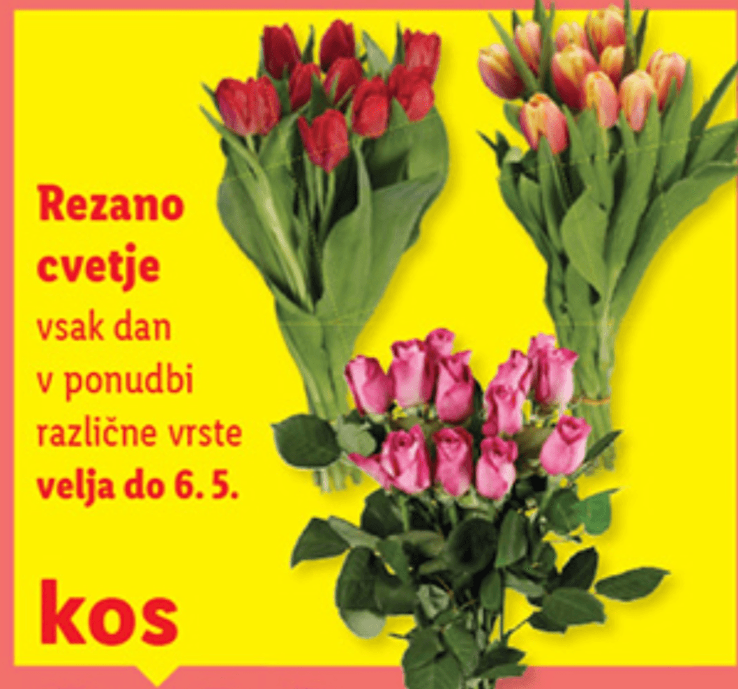 Rezano cvetje - Akcija v trgovini Lidl