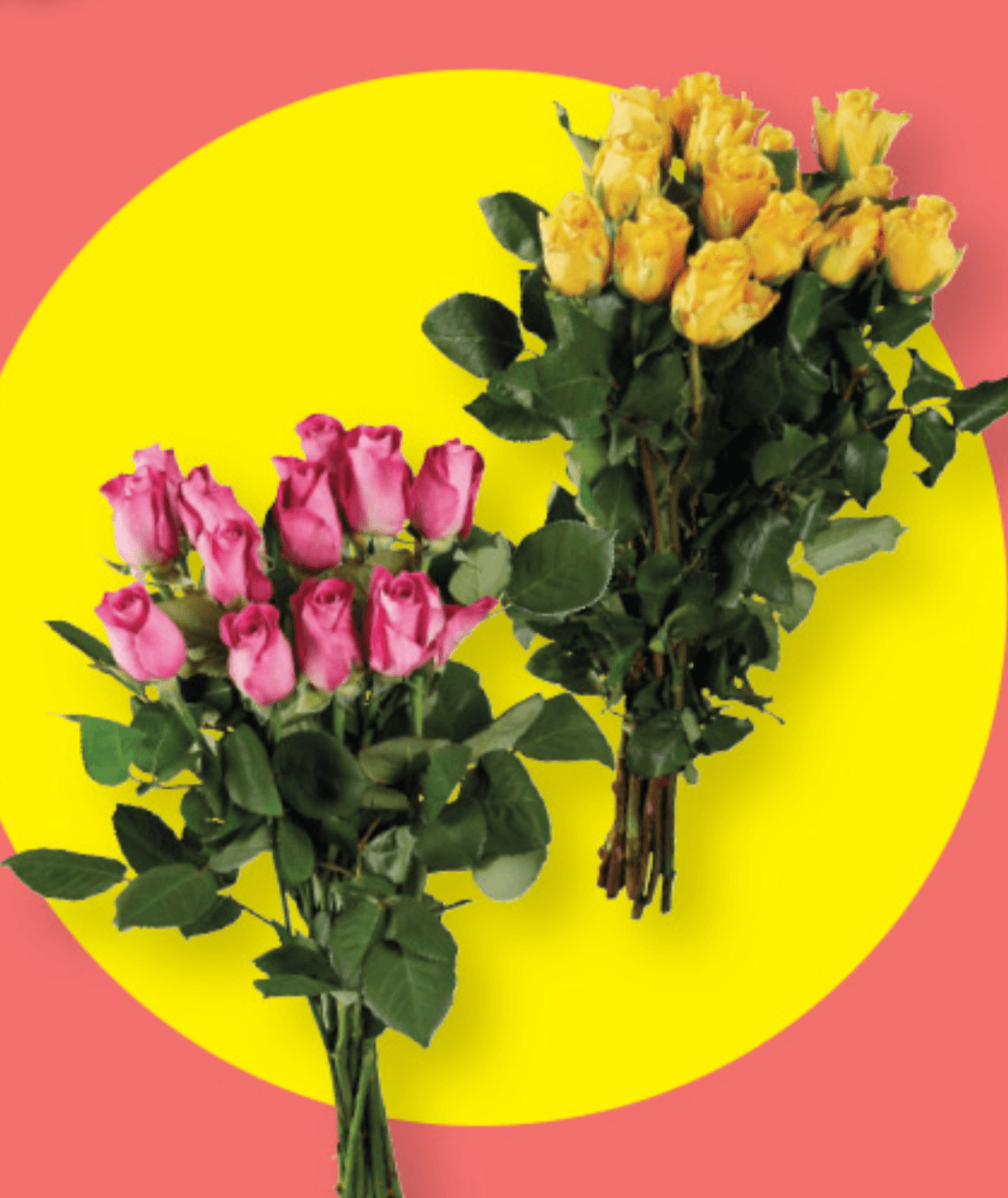 Šopek vrtnic - Akcija v trgovini Lidl