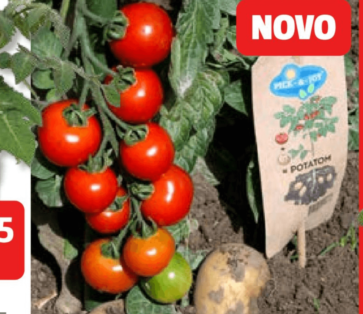 Potatom - Akcija v trgovini Bauhaus