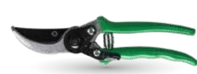 Vrtne škarje - Akcija v trgovini Mercator