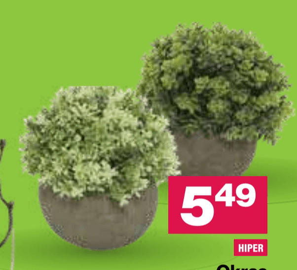 Okras zelenje v juti - Akcija v trgovini Mercator