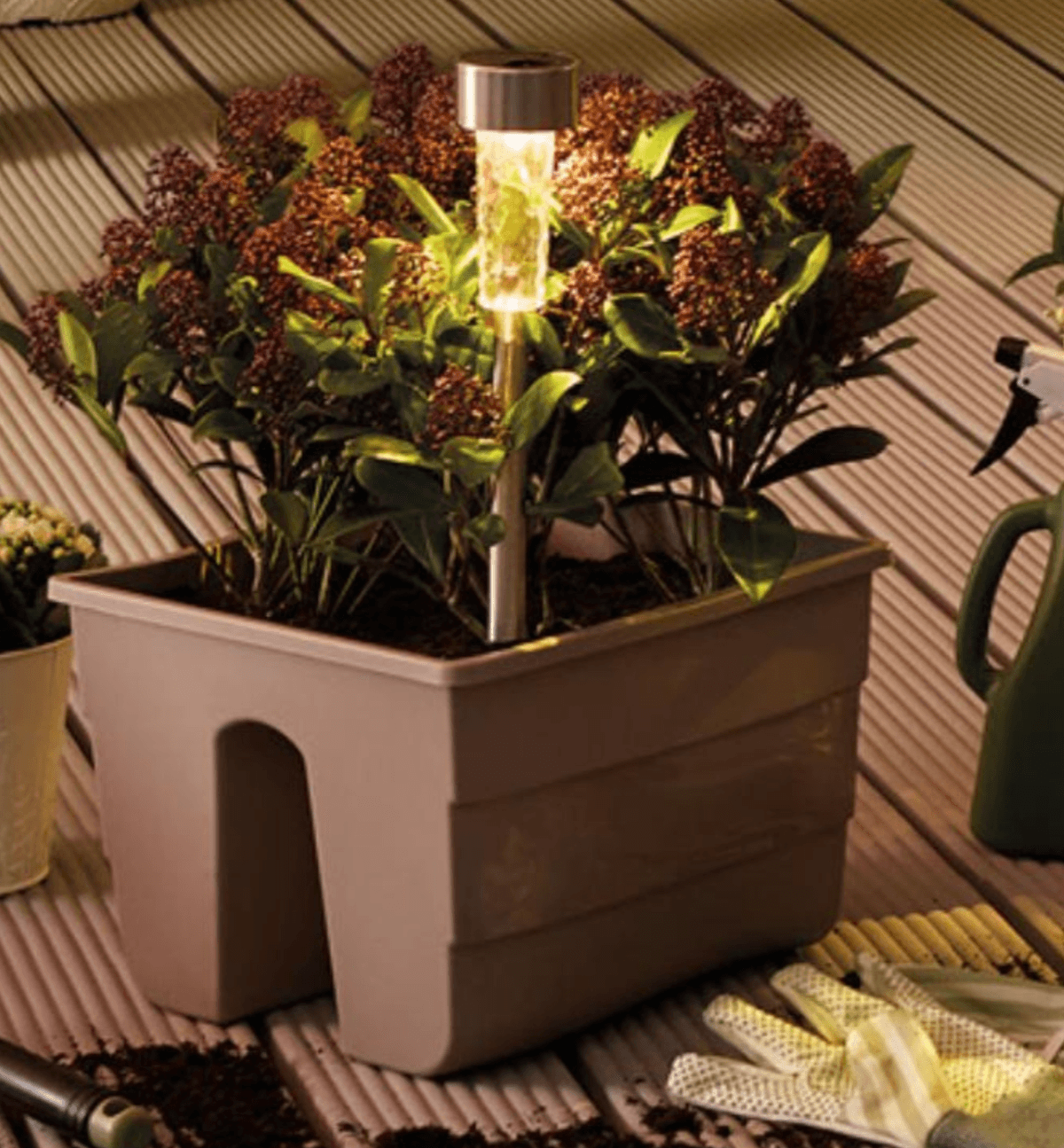 Balkonsko korito - Akcija v trgovini Pepco