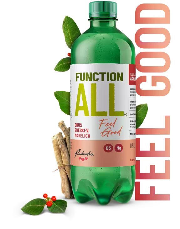 Radenska FunctionAll Fell Good funkcionalna gazirana pijača 500 ml - Akcija v trgovini Dm