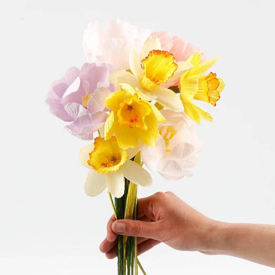 Šopek Narcis 7/1 - Akcija v trgovini Spar