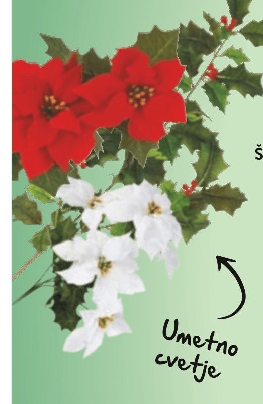 Šopki in vejice božičnih zvezd - Akcija v trgovini Spar