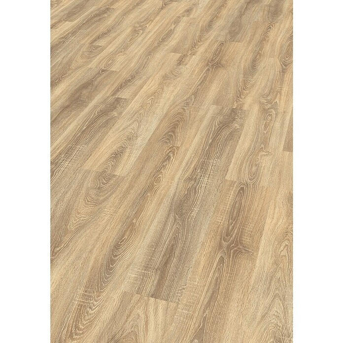 Bardolino - Akcija v trgovini Bauhaus