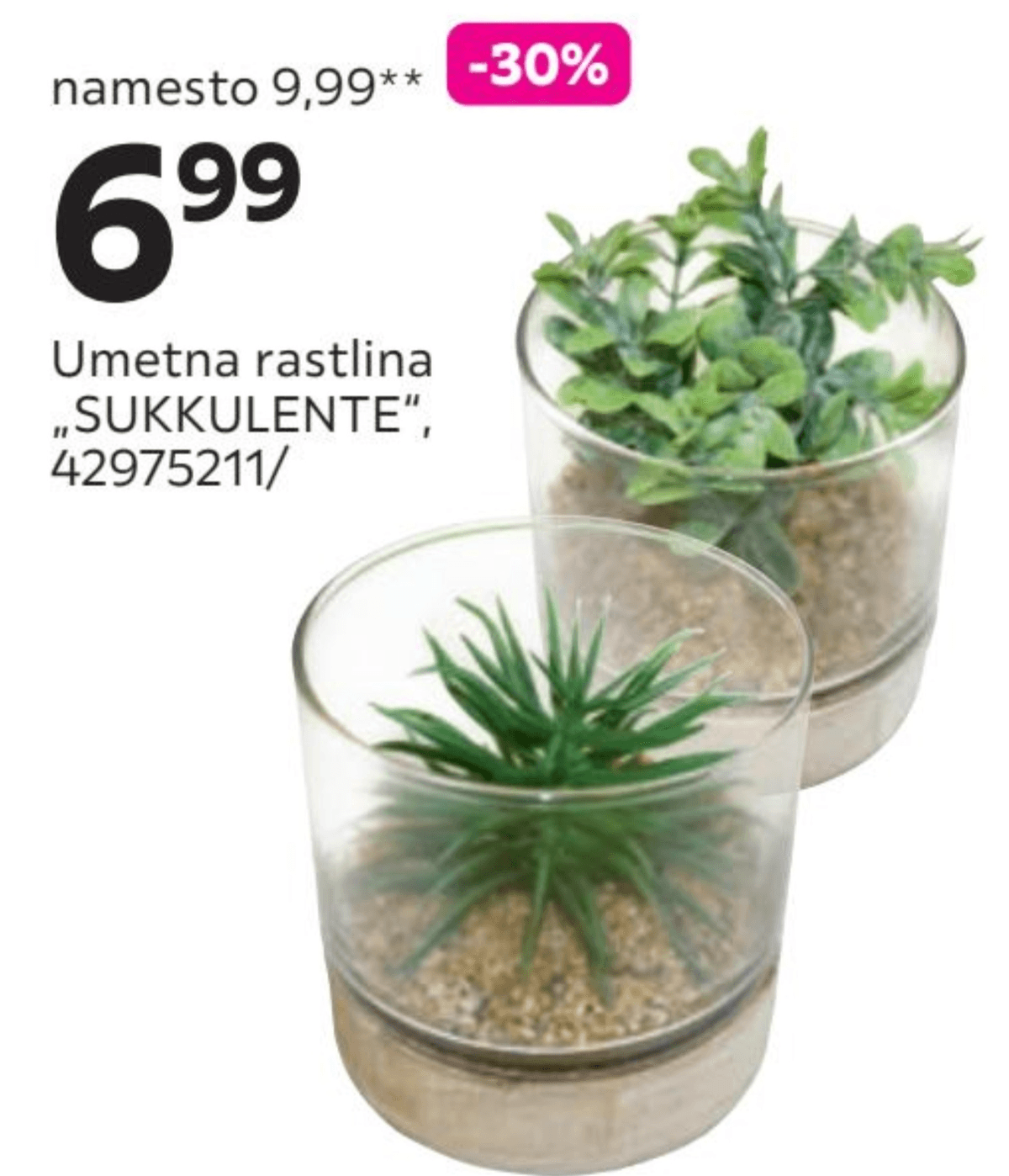 Umetna rastlina „SUKKULENTE" - Akcija v trgovini Mömax