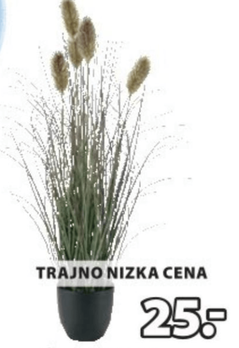 Umetna rastlina EDERFUGL - Akcija v trgovini Jysk