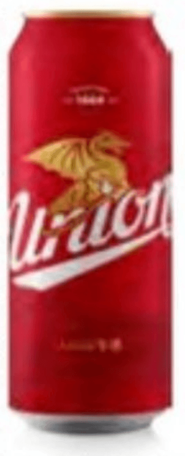 PIVO UNION 0,5 L - Akcija v trgovini Jager