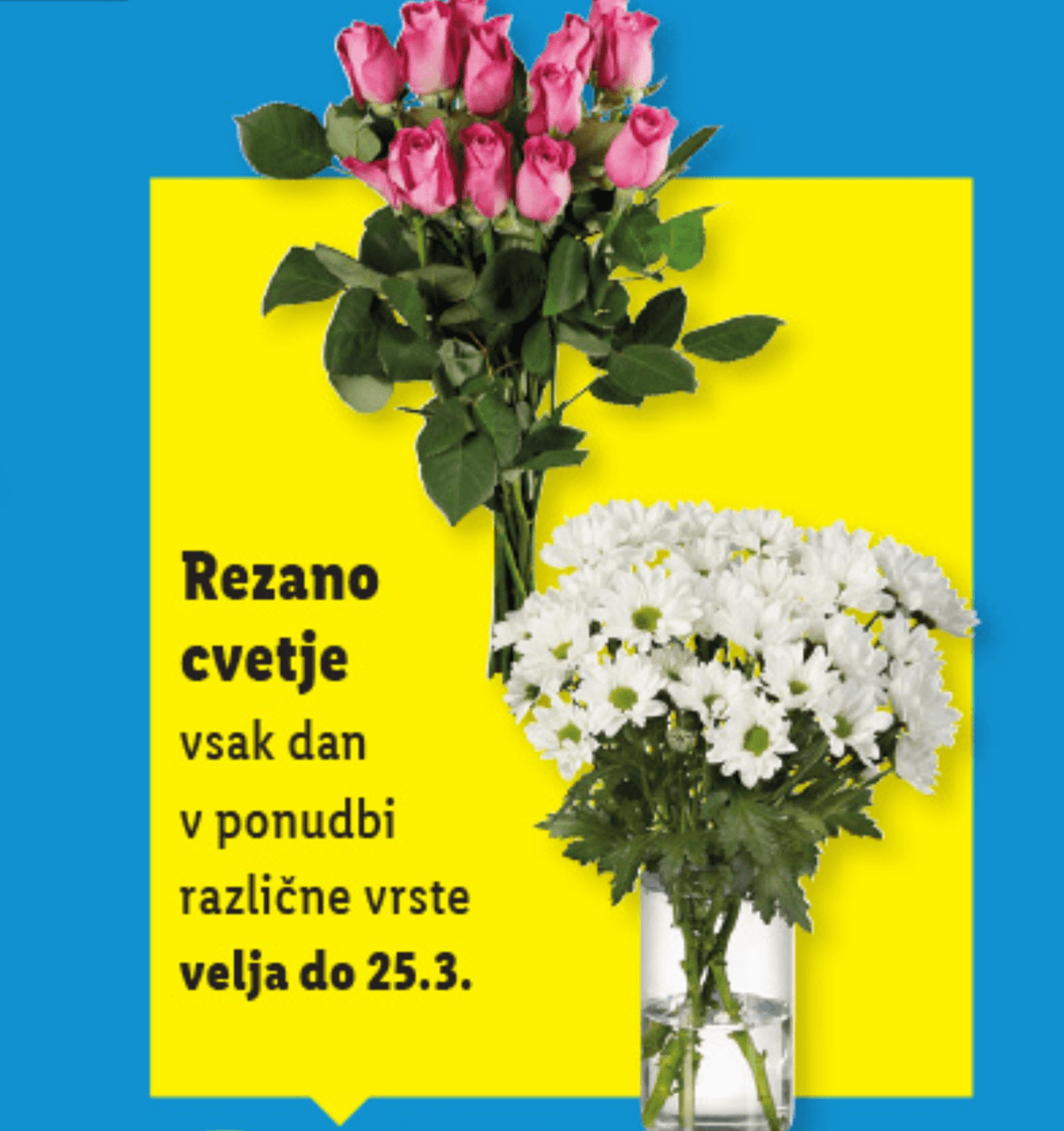 Rezano cvetje - Akcija v trgovini Lidl
