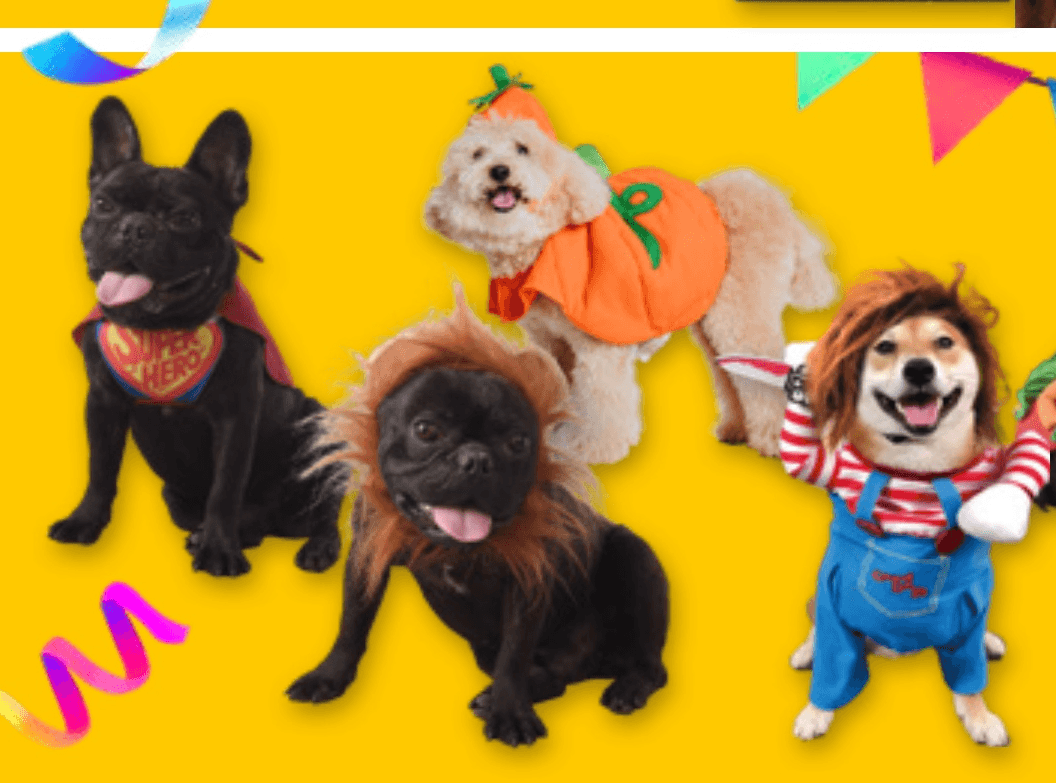 Pasji pustni kostumi - Akcija v trgovini Spar