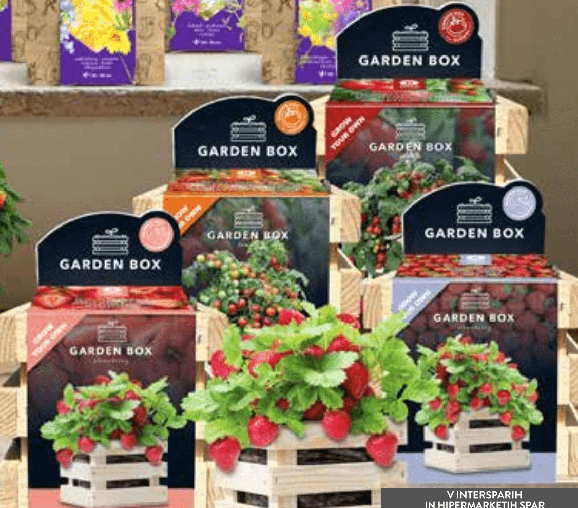 Vrtna škatla jagod in paradižnika Garden Box - Akcija u trgovini Spar