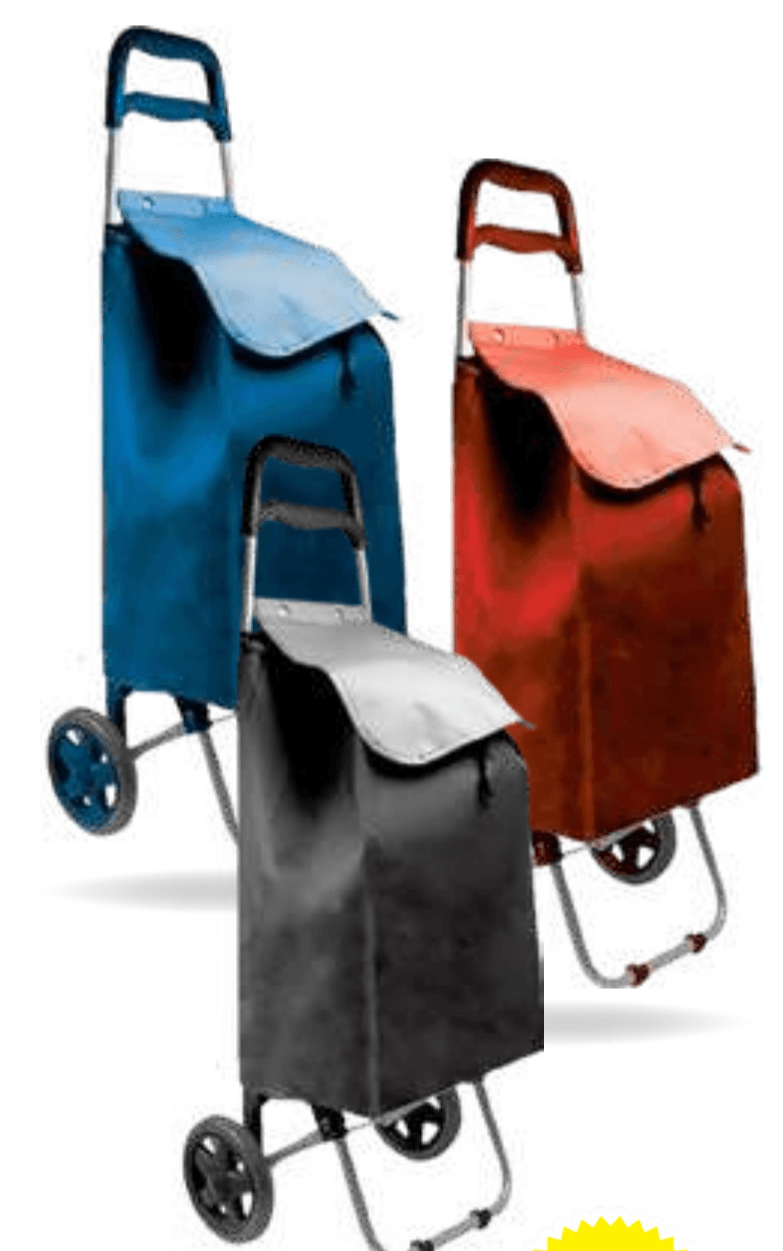 Nakupovalni voziček - Akcija v trgovini E.Leclerc