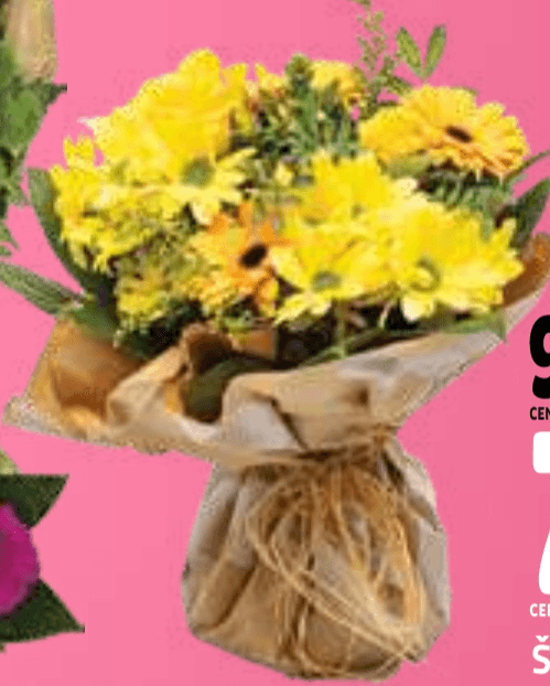 Šopek v vodi - Akcija v trgovini E.Leclerc