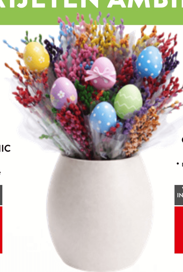 Obarvane veje vrbe - Akcija v trgovini Spar