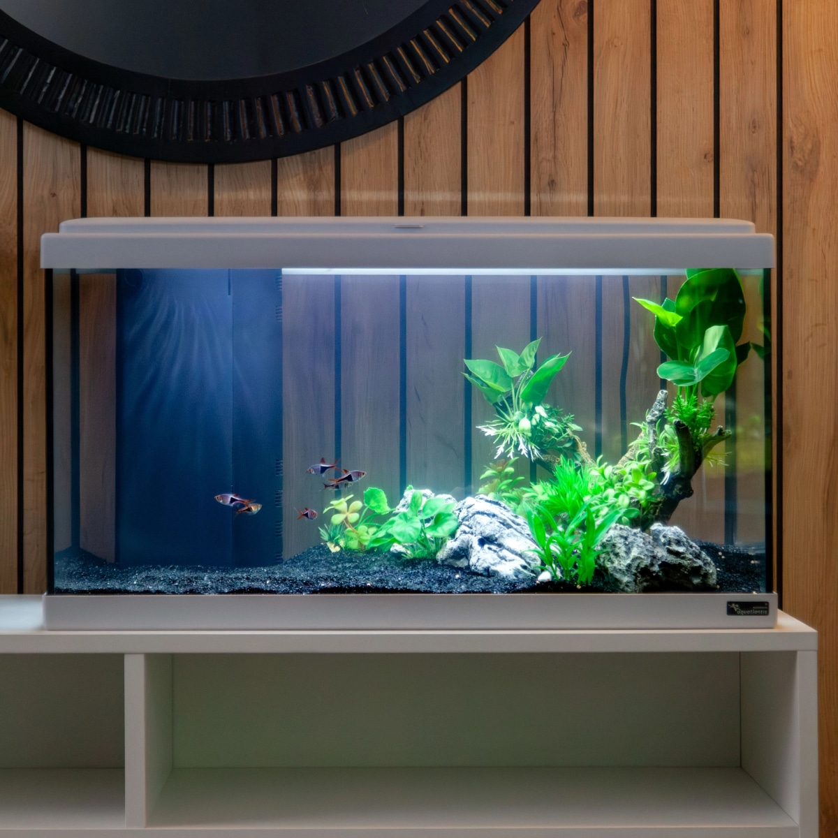 Akvarij Aquatlantis Explorer Lisbon Biobox 22L - Akcija v trgovini Mr. Pet