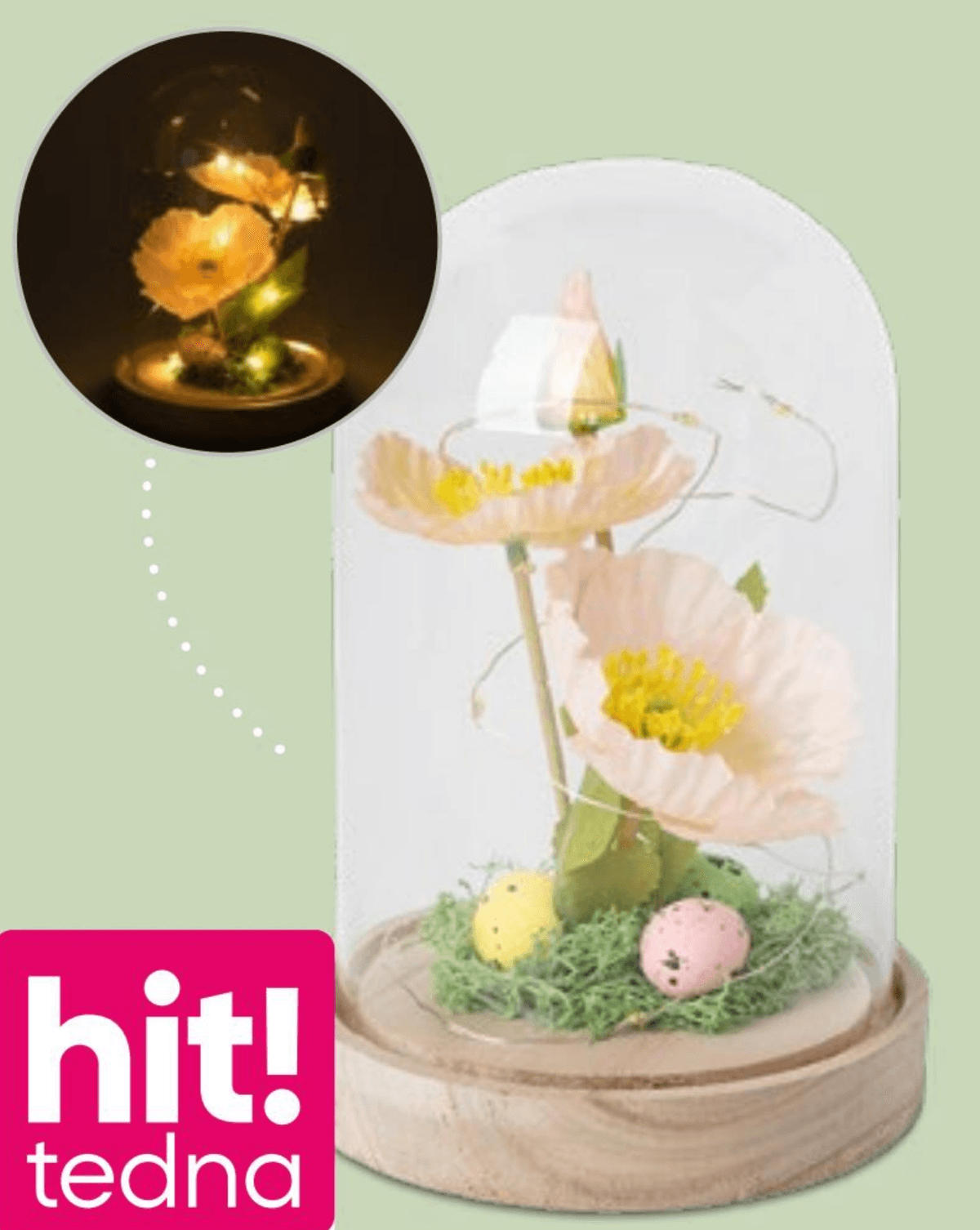 LED okras - Akcija v trgovini Pepco