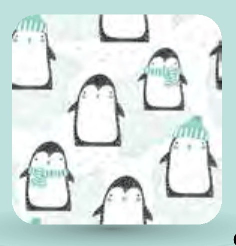 Okrasna blazina - Akcija v trgovini Mercator