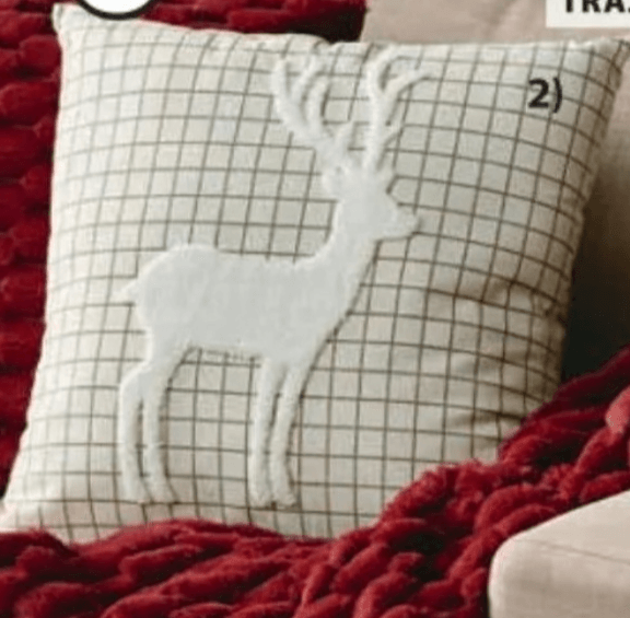 Blazina HVIDBLOMME 45x45 cm - Akcija v trgovini Jysk