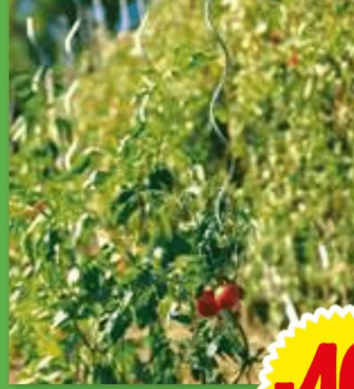 Opornik za paradižnik - Akcija v trgovini E.Leclerc