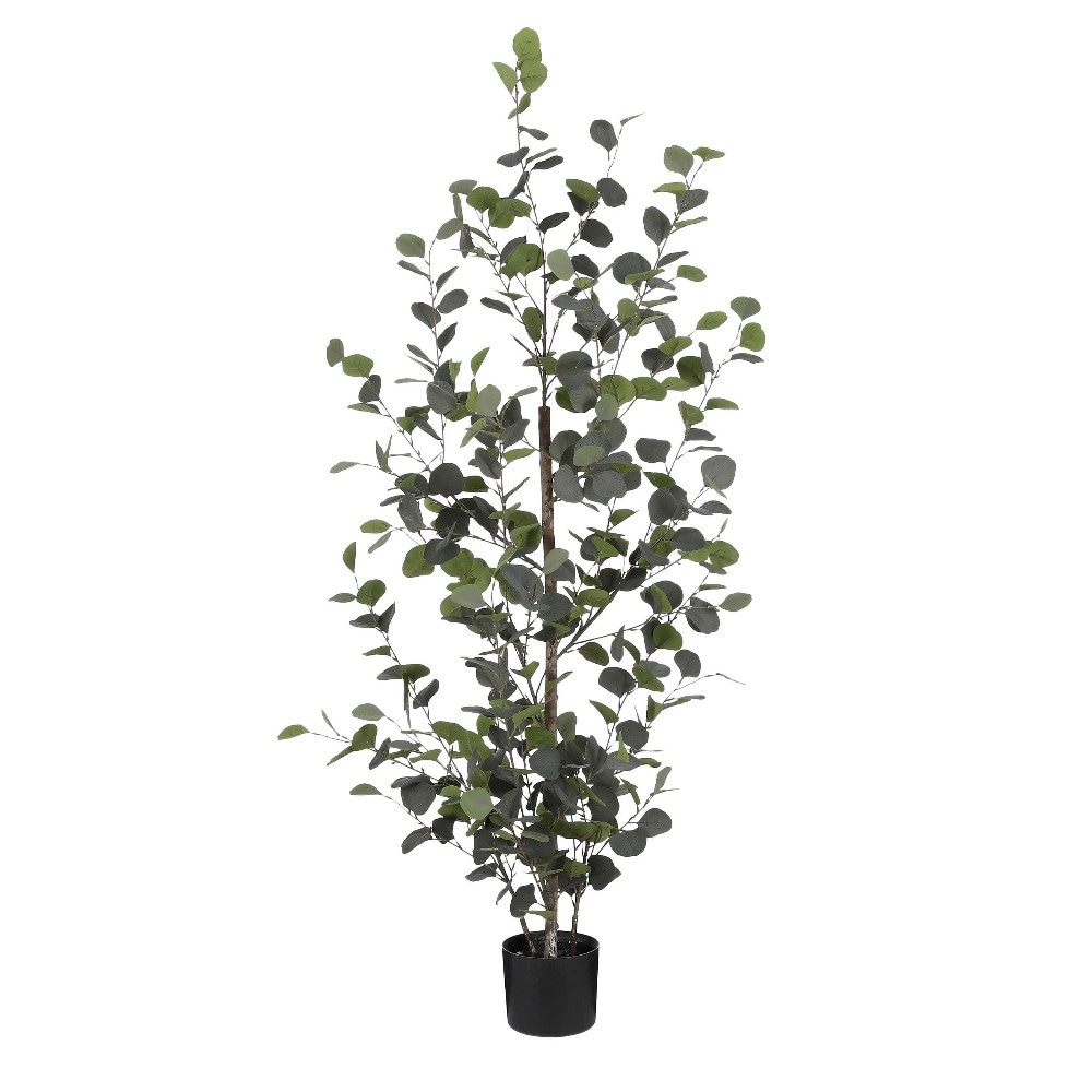 Evkaliptus 30 X 150 cm Akcija v trgovini Lesnina