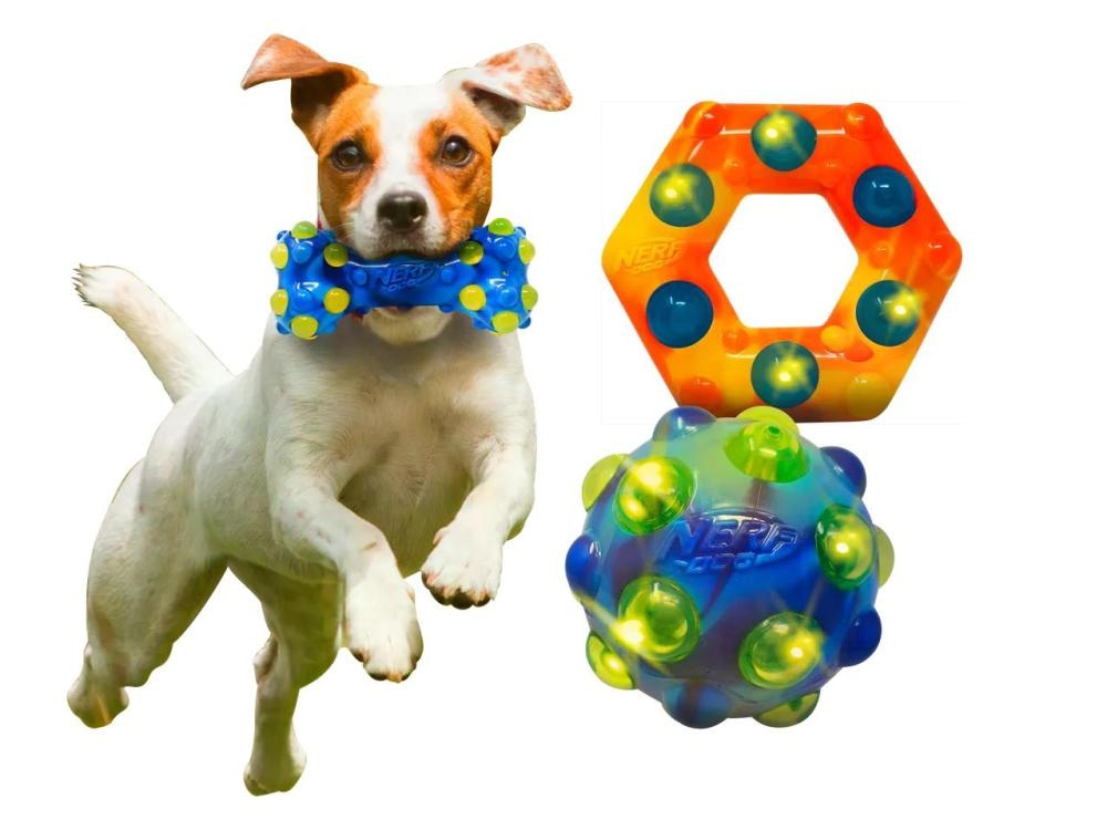 Nerf Igrača za psa - Akcija v trgovini Lidl