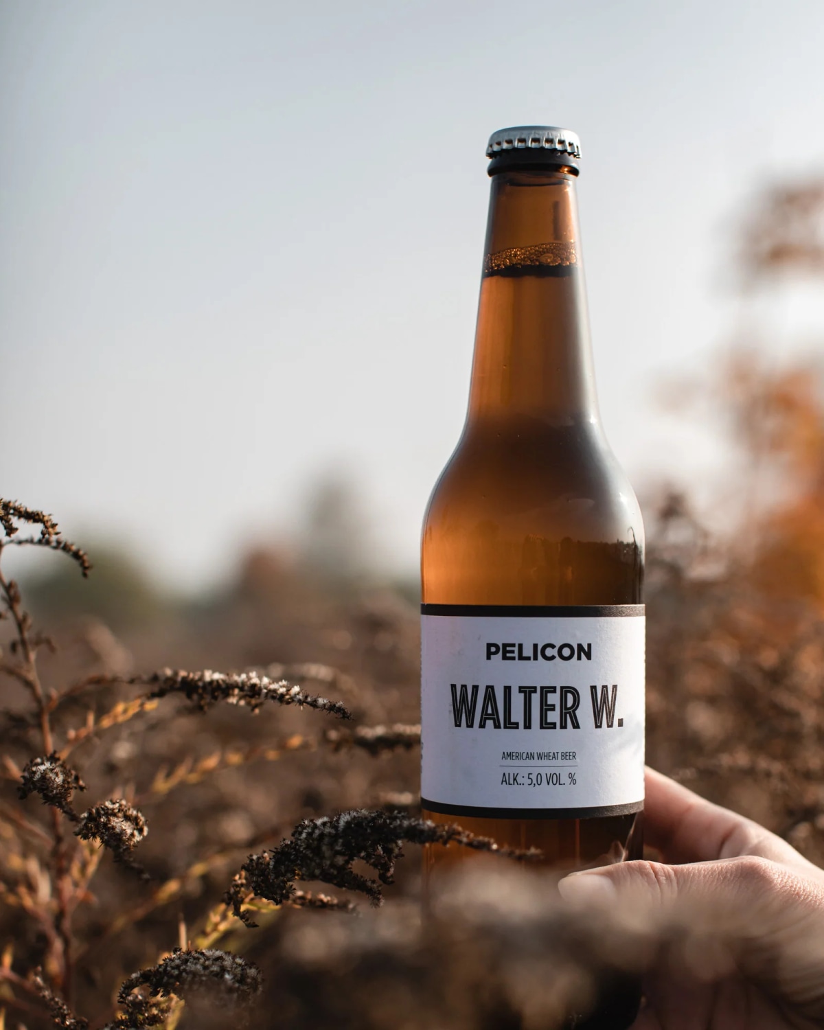 Pivo Walter Wheat American Wheat Ale 0,5 l Pelicon - Akcija v trgovini E.Leclerc