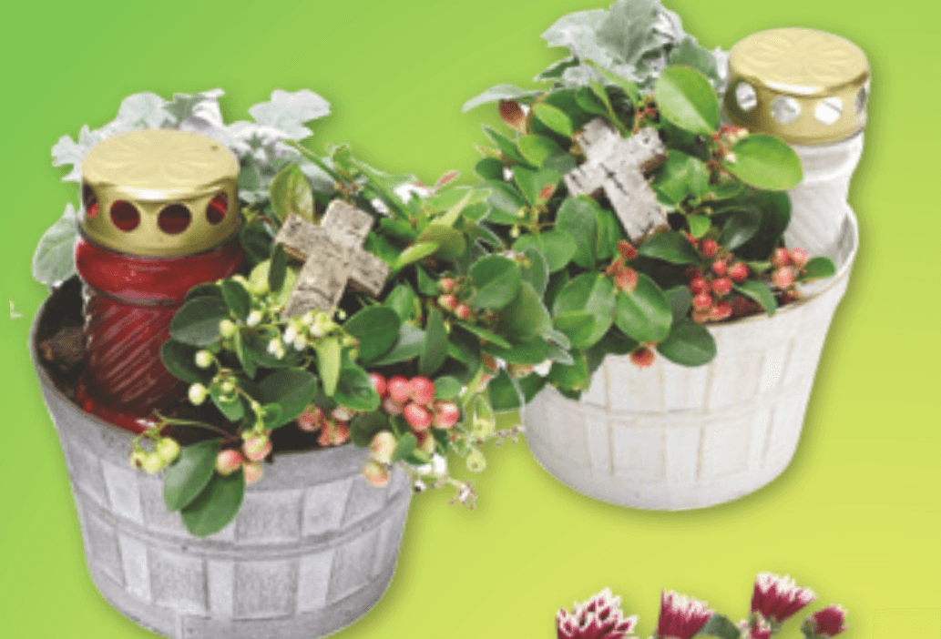 Nagrobni aranžma - Akcija v trgovini Spar