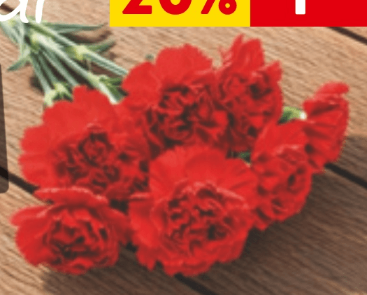 Šopek nagelj - Akcija v trgovini Spar