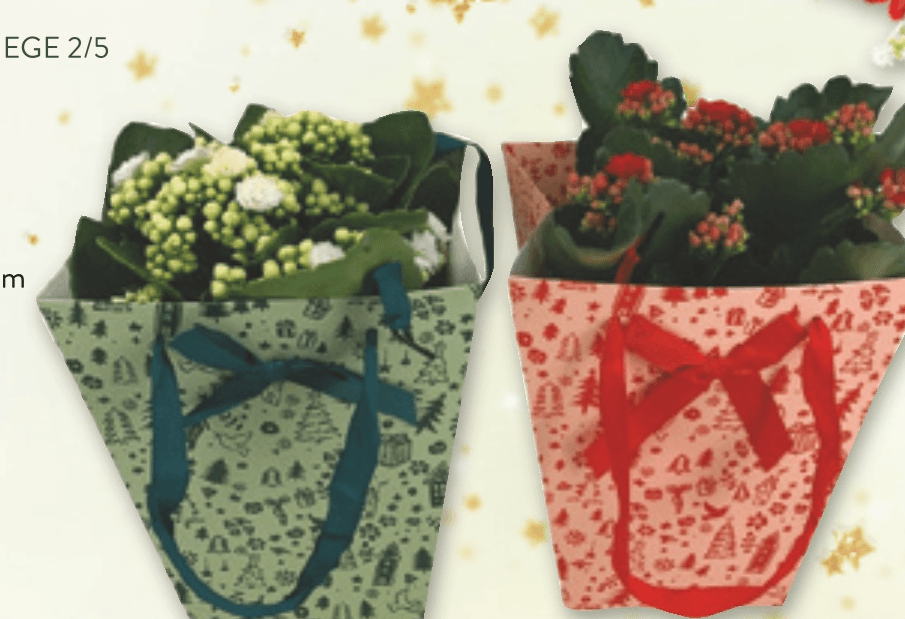 Kalanhoja - Akcija v trgovini Spar